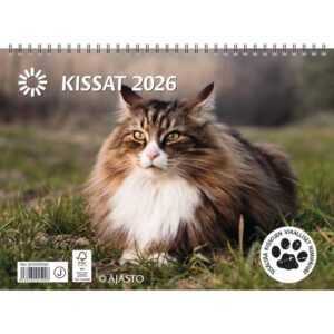 4298265_Kissat_jpg_width_800