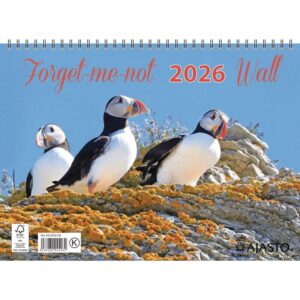 5322756_Forget_me_not_wall_jpg_width_800